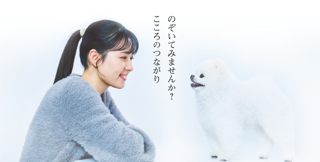 わんマッチ キービジュアル